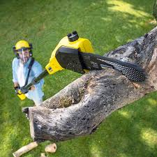 Best Arborist Consultation Services  in Rowland, NC