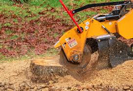 Best Commercial Tree Services  in Rowland, NC