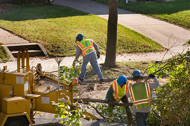 Best Lawn Pest Prevention  in Rowland, NC